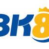 Bk8